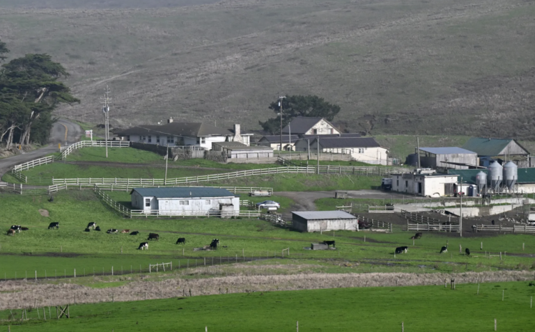 Picture of ranch in West Marin